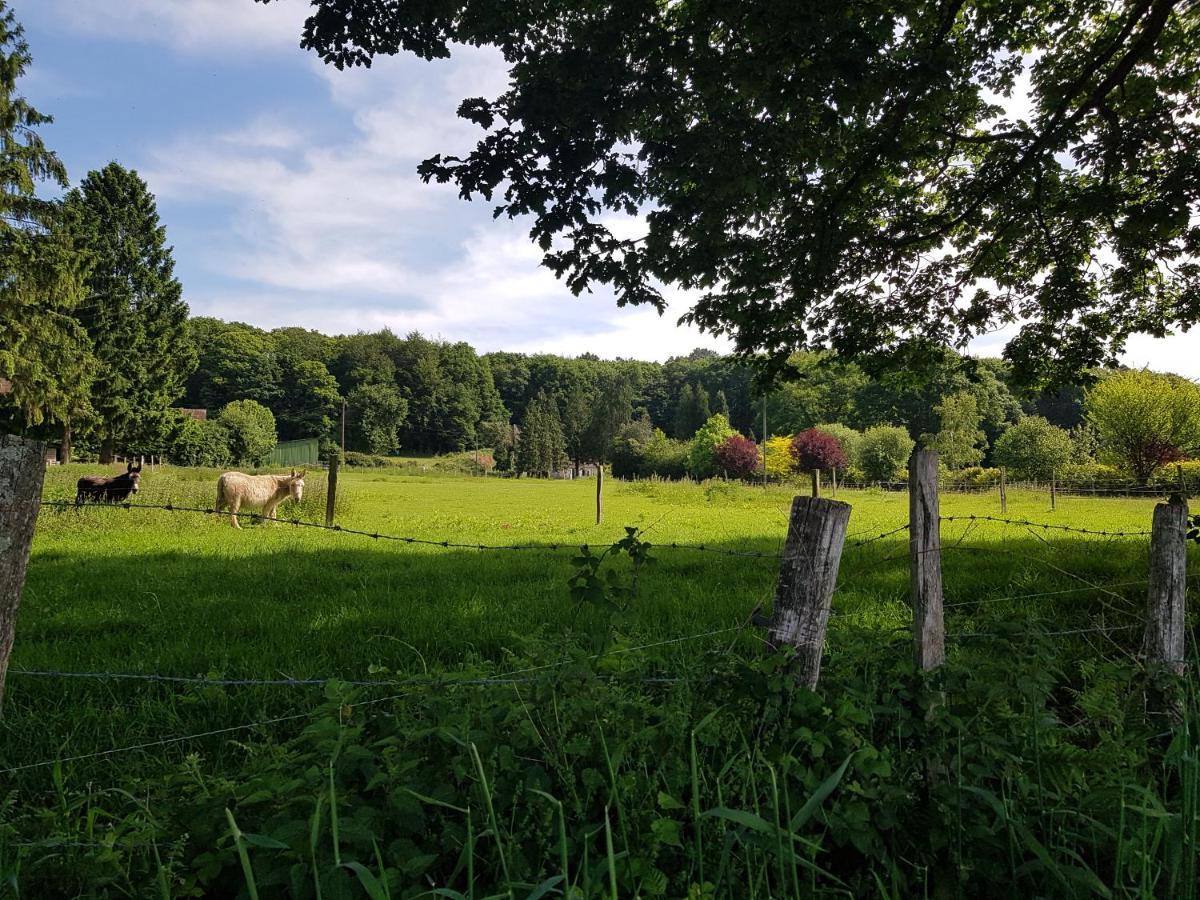 Gîte en lisière de forêt andaine Perrou Extérieur photo