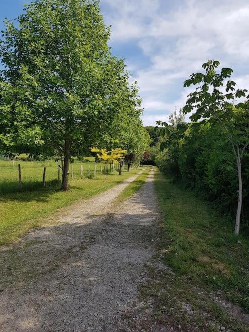 Gîte en lisière de forêt andaine Perrou Extérieur photo